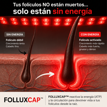 FolluxCap™ — Gorra de Regeneración Capilar